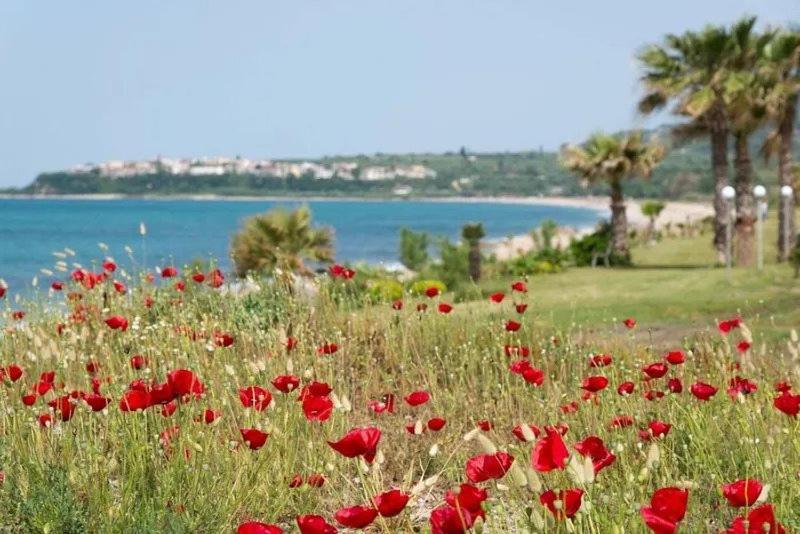 Poseidon Beach Hotel Kastrosikia Exterior photo